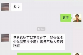 西藏西藏的要账公司在催收过程中的策略和技巧有哪些？